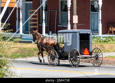 Amish Horse and Buggy an einem sonnigen Sommertag 2 Stockfoto