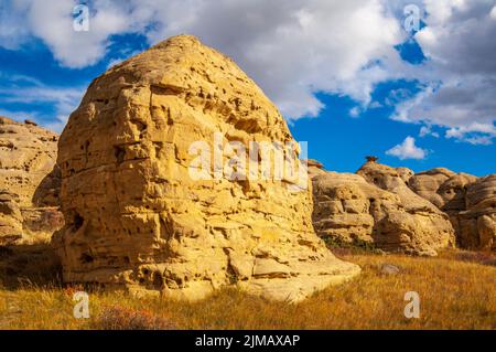 Erodiert Sandstein Felsformationen in den Badlands entlang der MIlk River Valley in Writing-On-Stein Provincial Park, Alberta Stockfoto