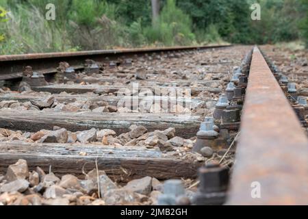 Alte Bahnlinie Borkense Kurs in den Niederlanden Stockfoto