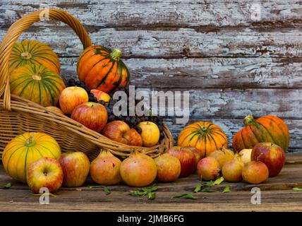 Korb voll von Kürbissen, Äpfeln und verschiedenen Herbstfrüchten und Blumen Stockfoto