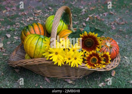 Korb voll von Kürbissen, Äpfeln und verschiedenen Herbstfrüchten und Blumen Stockfoto