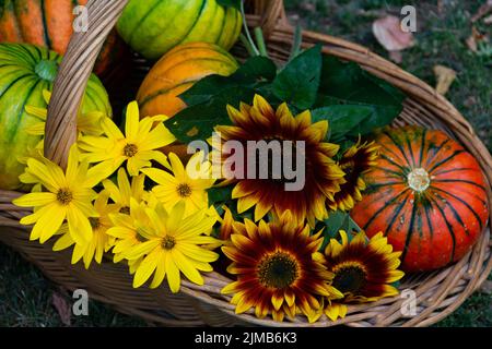 Korb voll von Kürbissen, Äpfeln und verschiedenen Herbstfrüchten und Blumen Stockfoto