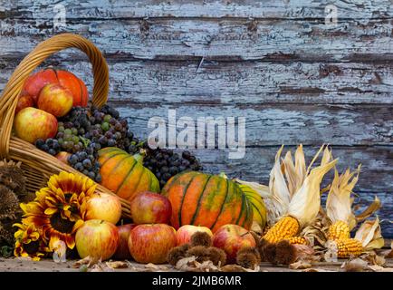 Korb voll von Kürbissen, Äpfeln und verschiedenen Herbstfrüchten und Blumen Stockfoto
