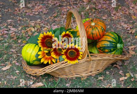 Korb voll von Kürbissen, Äpfeln und verschiedenen Herbstfrüchten und Blumen Stockfoto