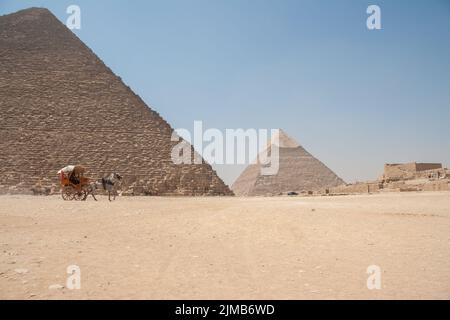 Pferdewagen vor den Pyramiden von Gizeh Stockfoto