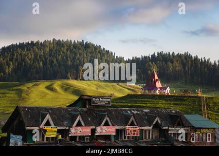 Pferde auf der Wiese in Gulmarg, Jammu und Kaschmir, Indien. Stockfoto