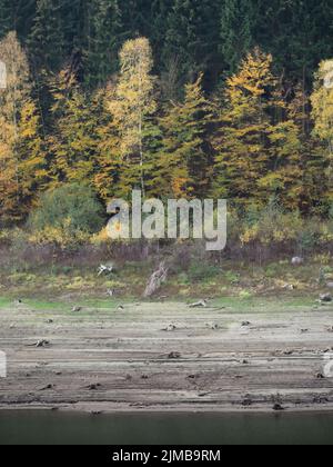 Niedrigwasser im Grane Stausee, Harz, Deutschland Stockfoto