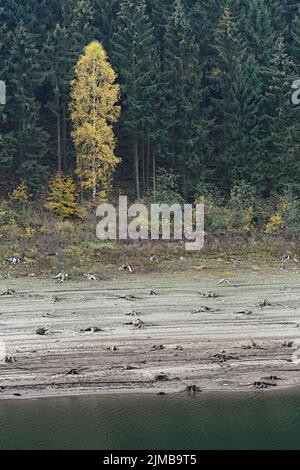 Niedrigwasser im Grane Stausee, Harz, Deutschland Stockfoto