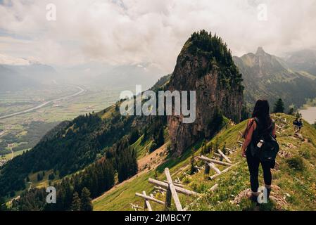 Ein junges Weibchen, das am Hang des Alpsteingebirges mit seinen hohen Gipfeln im Hintergrund steht Stockfoto