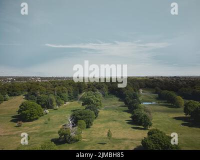 Ein schöner Blick auf Reihen und Reihen von Bäumen auf einem Grasfeld Stockfoto