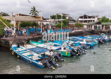 Puerto Ayora, isla Santa Cruz, Ecuador, April 14, 2019. Einige lokale Fischeraktivitäten am Nachmittag in Puerto Ayora. Stockfoto