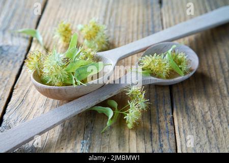 Zwei Holzlöffel mit Lindenblüten auf einem rustikalen Tisch Stockfoto
