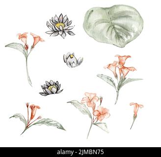 Aquarell Seerose Blume aus Märchen Stockfoto