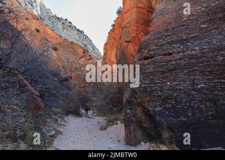 Red Hollow Slot ist in der Nähe von Orderville, Utah - kurz, aber süß. Stockfoto