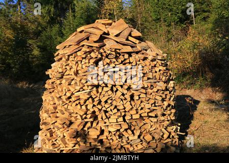 Ein Haufen Brennholz auf einer Wiese im Wald Stockfoto