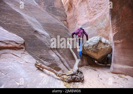 Red Hollow Slot ist in der Nähe von Orderville, Utah - kurz, aber süß. Stockfoto