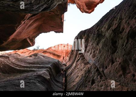 Red Hollow Slot ist in der Nähe von Orderville, Utah - kurz, aber süß. Stockfoto