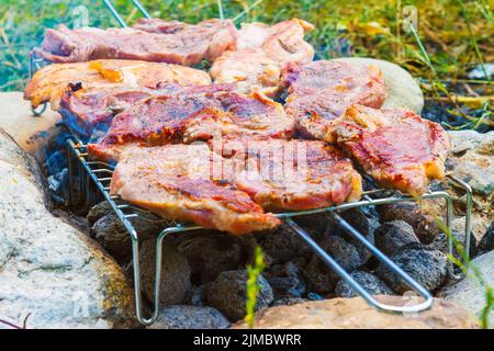 Barbecue Kochen im Freien im Wald Stockfoto