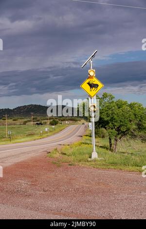 Ein gelbes, diamantförmiges Straßenschild mit gelbem Blinklicht und einem Elchbild warnt die Fahrer, auf der Autobahn auf Elche zu achten. Stockfoto