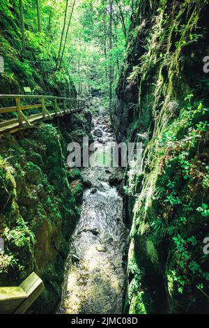 Johannesbachklamm in niederösterreich im Sommer Stockfoto