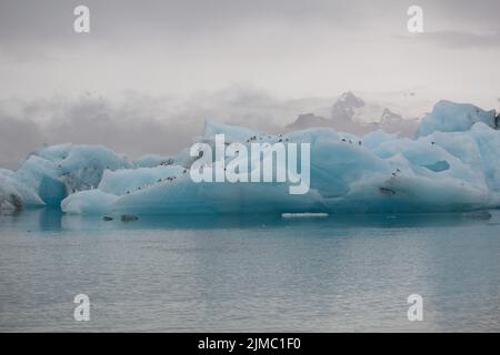 Eisberg, der vor einer Gletscherlagune schwimmt Stockfoto