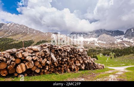 Berge Landschaft mit Haufen von Protokollen in den Vordergrund. Plateau des Montasio, Alpen Stockfoto