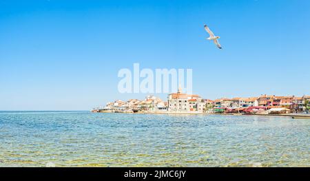 Adriaküste in Umag Kroatien Stockfoto