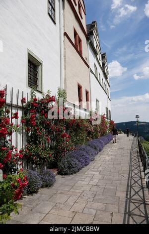 Dornburg Schlösser, Park, Garten, Schloss, Dornburg Thüringen, Deutschland, Europa Stockfoto