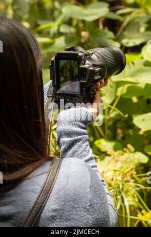 Person mit schwarzem Haar halten und ein Foto mit einer digitalen Profi-Kamera zu Pflanzen, Hobby-Arbeitswerkzeug, Fotografie Stockfoto