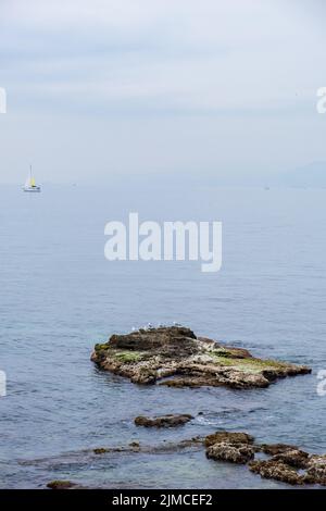 Möwen sitzen auf Felsen im blauen Meerwasser an einem nebligen Tag mit einem Segelboot in der Ferne. Vertikales Bild. Speicherplatz kopieren. Reisen, Stockfoto