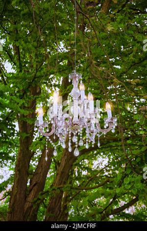 Kristallleuchter im Wald Stockfoto