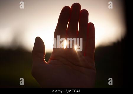 Palme vor dem Hintergrund der Sonne. Hand ist im Detail. Finger lassen Licht hinein. LSE Sonne durch die Haut der Hand. Die langen Finger des Mannes. Sonnenuntergang draußen. Aufnahme t Stockfoto