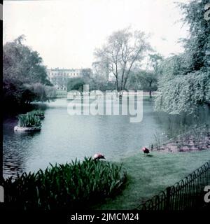 Um 1955, London, England, Großbritannien: Sommertag im St. James Park in London. Der St James's Park umfasst die Mall und die Horse Guards Parade und ist von Sehenswürdigkeiten wie Buckingham Palace, Clarence House und Whitehall umgeben. (Bild: © Keystone USA/ZUMA Press Wire) Stockfoto