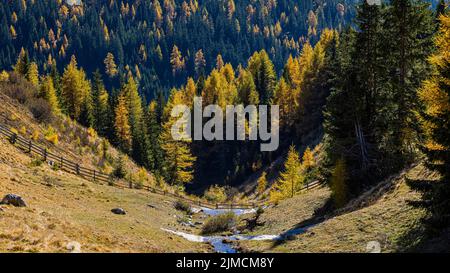 Almwiese mit Holzzaun und kleinem Teich, dahinter Baumkronen in herbstlichen Farben in der Abendsonne, Ski- und Wandergebiet Meran 2000, in der Nähe Stockfoto