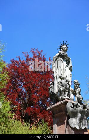 Schloss im Zentrum von Bad Waldsee, Ravensburg, Tübingen, Baden-Württemberg, Deutschland Stockfoto