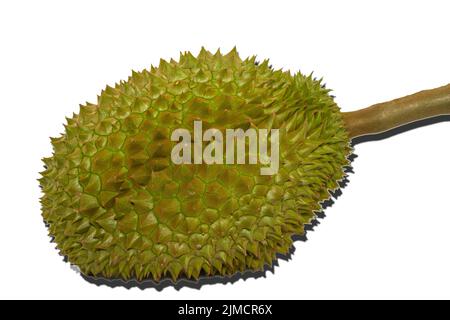 Durian die berühmte Frucht aus Thailand, es auch als der König der Früchte auf weißem Hintergrund bekannt. Stockfoto