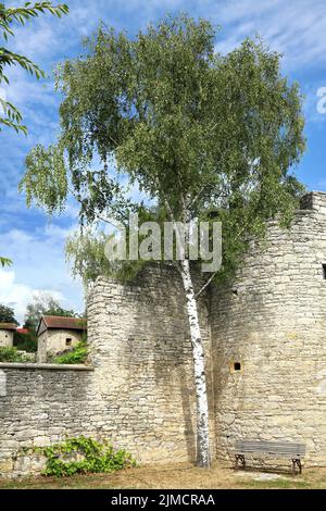 Sulzfeld am Main eine fränkische Idylle. Sulzfeld am Main, Kitzingen, Unterfranken, Bayern, Deutschland Stockfoto