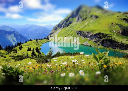 Der Seealpsee ist ein hoher Bergsee mit einem fantastischen Blick auf die Alpen und einer Blumenwiese im Vordergrund. Oytal, Allgäuer Alpen, Bayern, Deutschland Stockfoto