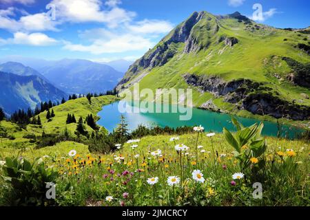 Der Seealpsee ist ein hoher Bergsee mit einem fantastischen Blick auf die Alpen und einer Blumenwiese im Vordergrund. Oytal, Allgäuer Alpen, Bayern, Deutschland Stockfoto