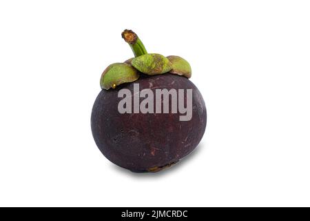 Mangostan (Garcinia Mangostana) ist eine exotische, tropische Frucht mit einem leicht süßen und sauren Geschmack Stockfoto