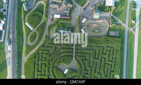 Blick von einer Drohne auf ein großes Maislabyrinth nach unten In Pennsylvania Stockfoto