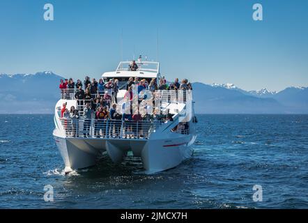 Walbeobachtungstour in British Columbia, Kanada im Sommer. Ein Wal taucht im Wasser auf, während Menschen beobachten, Fotos machen. Das war ein Walwat Stockfoto