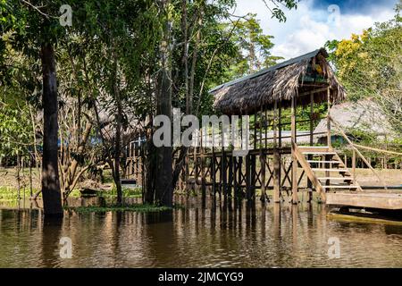 Die curassow Amazon Lodge liegt am Ufer des Yanayacu-Flusses im peruanischen Amazonas Stockfoto