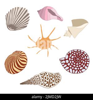 Set von handgezeichneten Muscheln, Unterwasserwelt. Stock Vektor