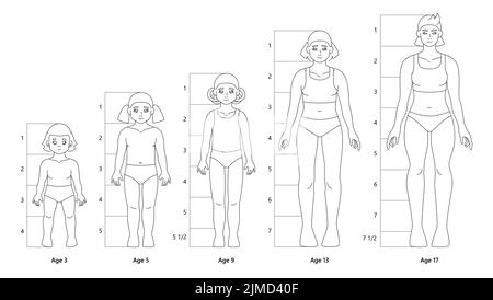 Vektor-Vorlagen von Kind Mädchen Körper für Mode flache Skizze. Proportionen der weiblichen Figur vom Baby bis zum Teenager oder jungen Erwachsenen Stock Vektor