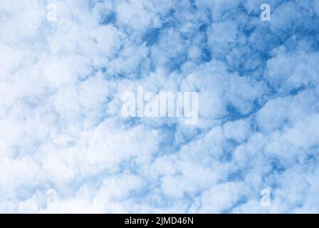 Weiße, flauschige Wolken am blauen Himmel, fluffige Altocumulus-Wolken im Hintergrund Stockfoto