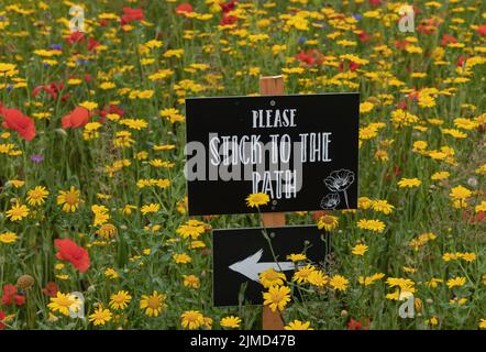 melden Sie sich auf einer Wildblumenwiese an und bitten Sie die Menschen, auf dem Weg zu bleiben und die Blumen nicht mit Füßen zu treten Stockfoto