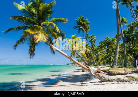 Junge Touristen junge Frau, die in Kokosnussbaum im Paradies liegt Stockfoto