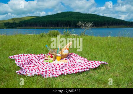 Tolles Konzept der Pic-nic, Pic-nic mit Obst und Saft auf grünen Rasen mit schöner Aussicht Stockfoto