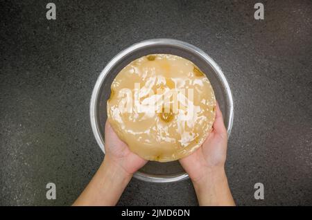 Hand hält kombucha scoby Tee Pilz vor Stein Hintergrund mit Schüssel Stockfoto